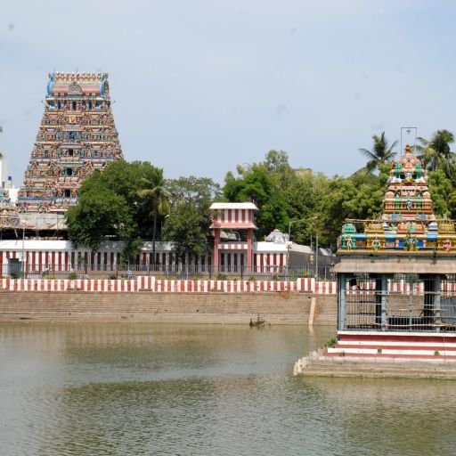 Exotic South India - Image 2