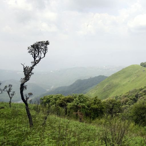Imphal 5 nights - Image 2