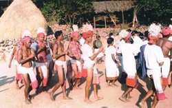 Orissa Tribal - Image 3