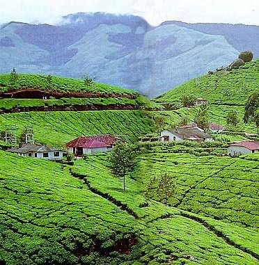 10 Nights Enchanting Kerala - Image 4