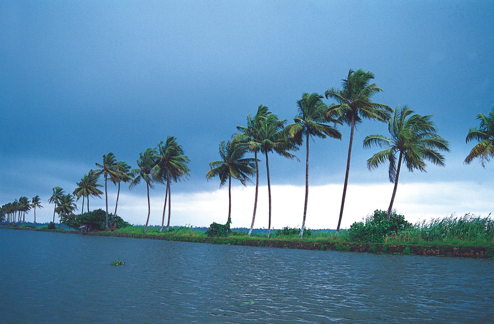 10 Nights Enchanting Kerala - Image 5