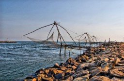Short Kerala Trip - Image 3