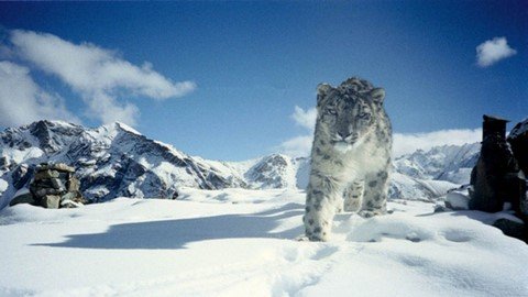 Le & Ladakh Highlights - Image 2