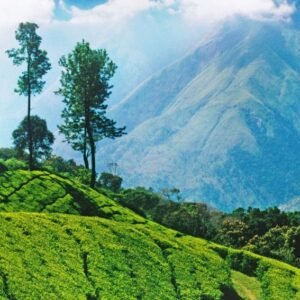 Gems of Karnataka