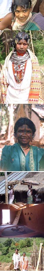 Orissa Tribal - Image 4