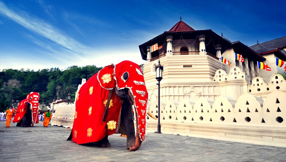 Sri Lanka Highlights - Image 2