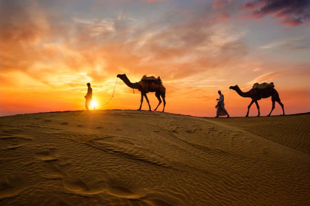 Golden Triangle Tour 6Nights/7Days - Image 12