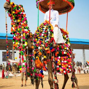Rajasthan 10 days Pushkar Livestock Fair - NOV 2024