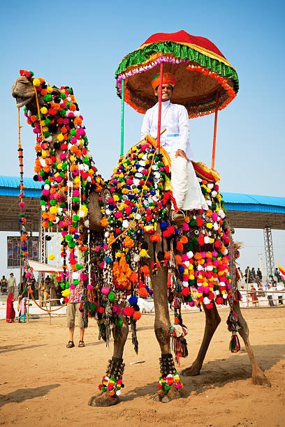 SPECIAL RAJASTHAN 9 DAYS / 8 NIGHTS - Image 2