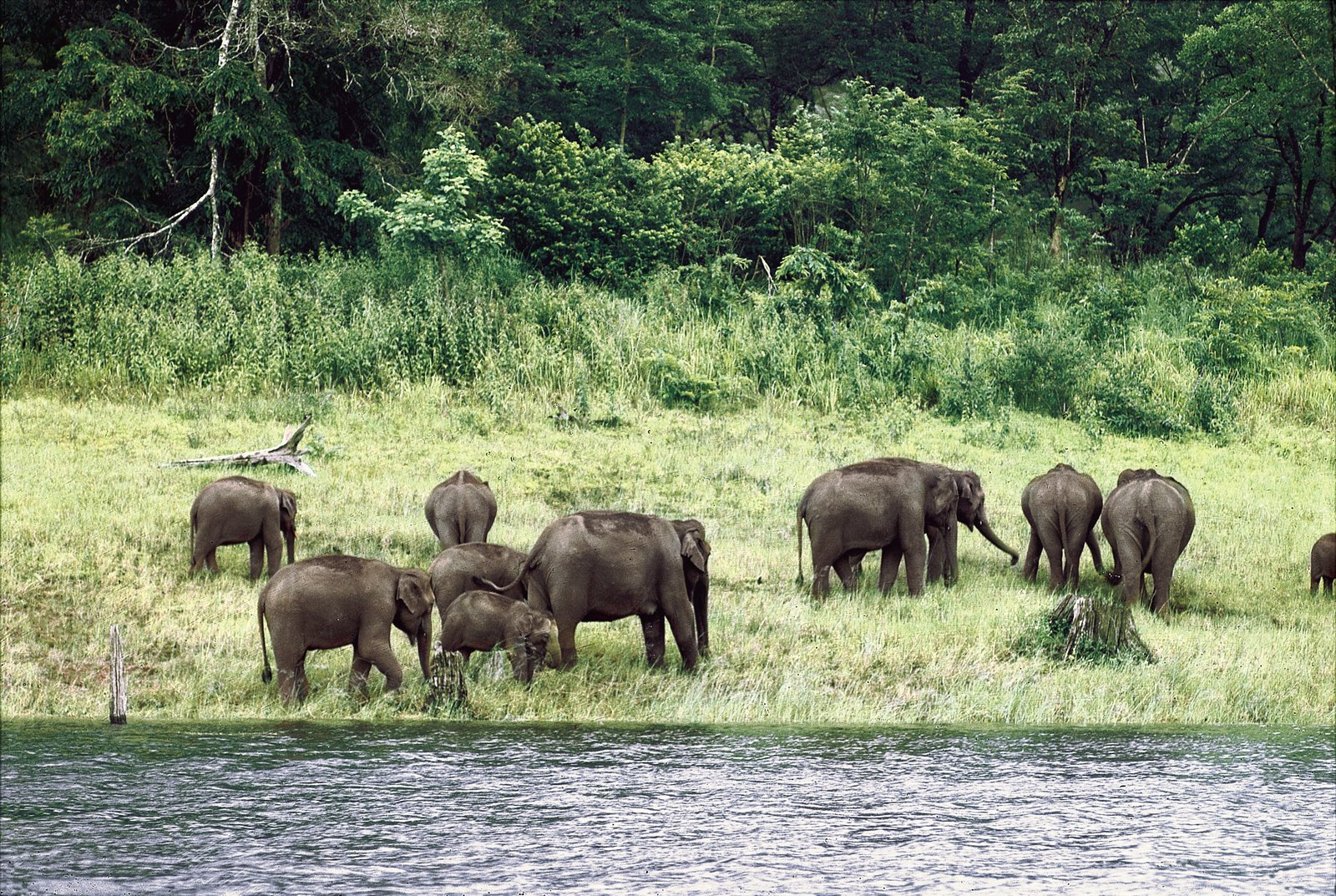 10 Nights Enchanting Kerala - Image 6