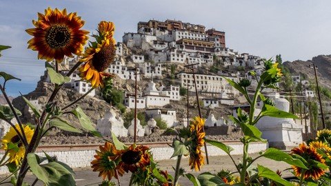 Le & Ladakh Highlights - Image 4