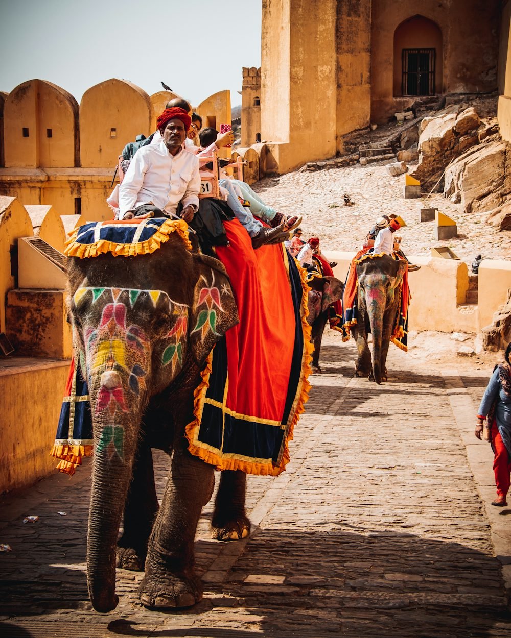 Classic India with Holi 2025 - 9 nights - Image 9