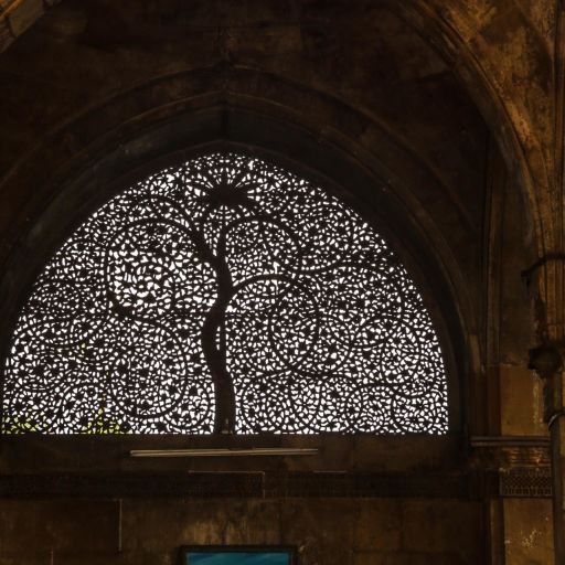 Lively & Cultural Gujarat - Image 6